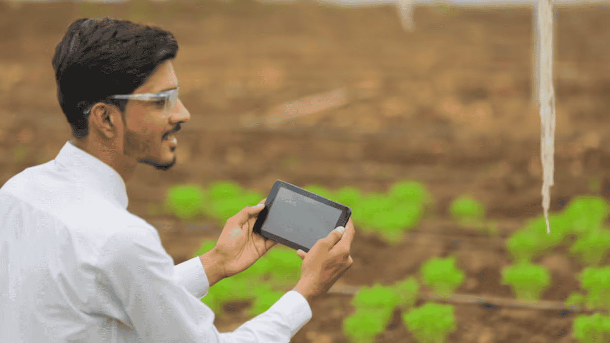 How Smart Tech Fixes Big Farming Problems