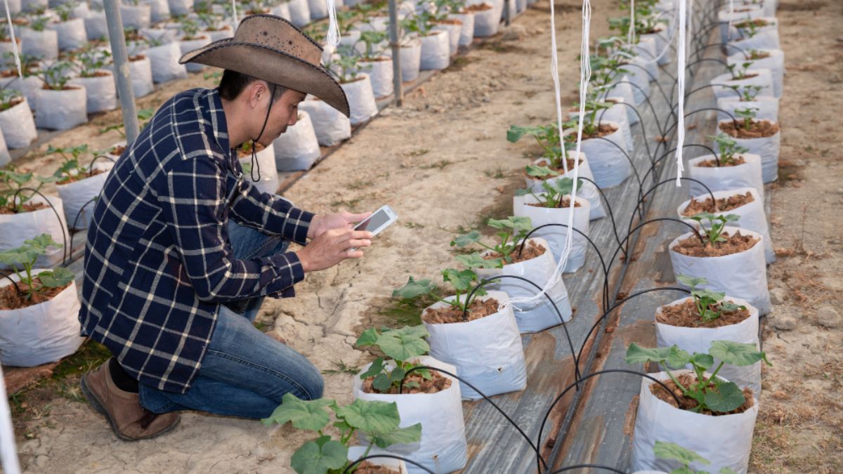 Smart Irrigation System Using IoT